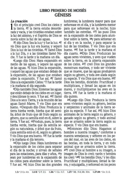 BIBLIA PROMESAS TURQUESA LETRA GIGANTE - Image 5