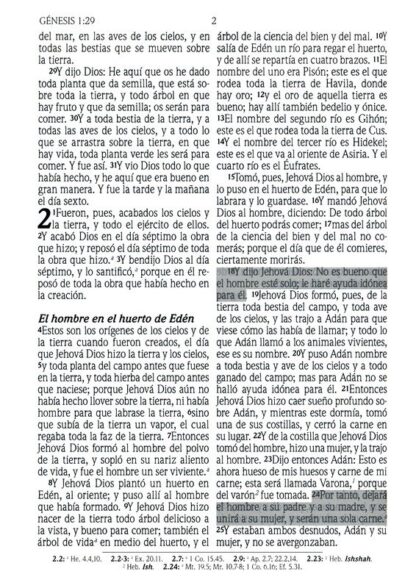 BIBLIA PROMESAS TURQUESA LETRA GIGANTE - Image 4