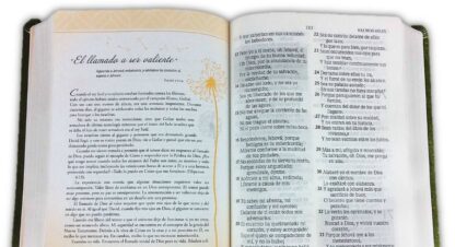 BIBLIA DE PROMESAS INSPIRA RV60 - Image 4