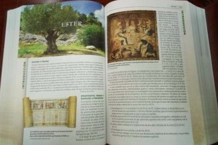 BIBLIA DE ESTUDIO TRAS LAS HUELLAS DEL MESIAS TD - Image 2