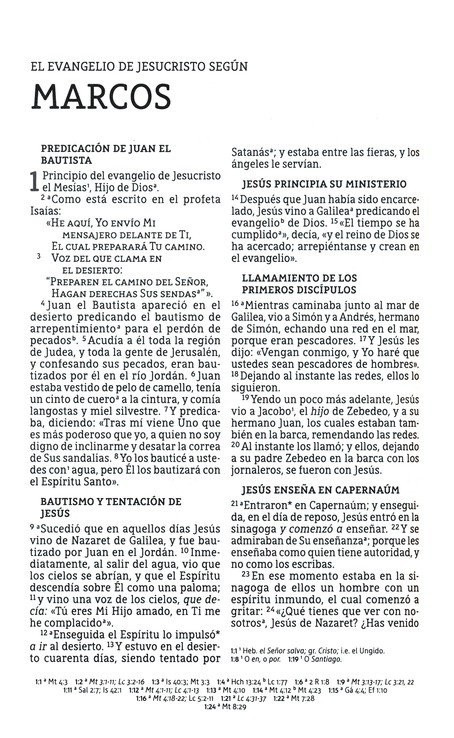 BIBLIA CONGREGACIONAL NBLA - LETRA GRANDE PD - Image 3