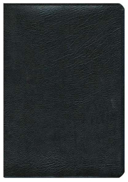 BIBLIA RV60 DE ESTUDIO PLENITUD - Image 11