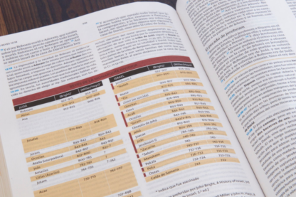 BIBLIA DE ESTUDIO HOLMAN RV60 PASTA DURA - Image 3