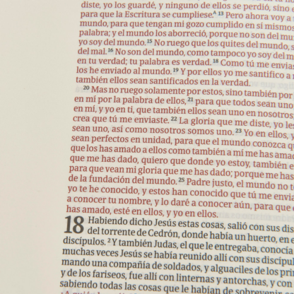 BIBLIA DE APUNTES MOSAICO -LETRA GRANDE - Image 4