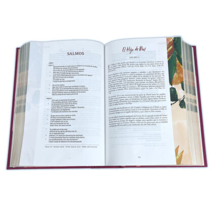 BIBLIA  CENTRADA EN CRISTO DEVOCIONAL - Image 5
