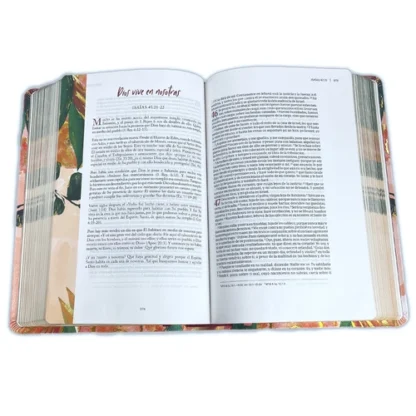 BIBLIA DEVOCIONAL CENTRADA EN CRISTO - PIEL - Image 6