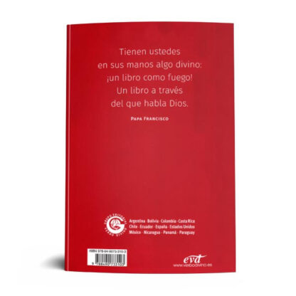 YOUCAT BIBLIA LATINOAMERICA PARA JOVENES - Image 5