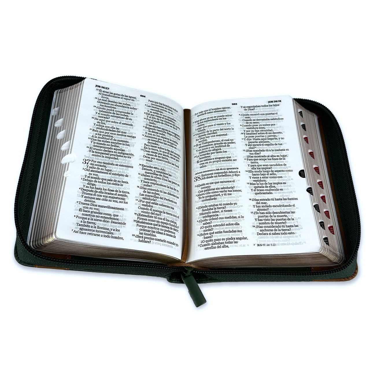 BIBLIA RV60 DE BOLSILLO CON CIERRE - Image 4