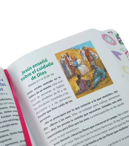 BIBLIA LUZ EN MI CAMINO NVI - Image 4