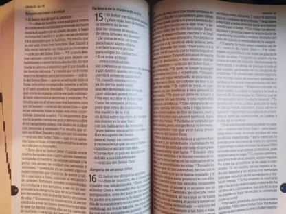 BIBLIA CATOLICA VERBO DIVINO PASTA SUAVE - Image 2