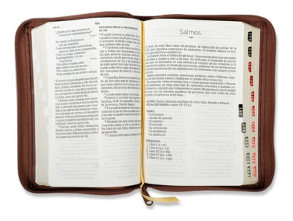 BIBLIA HOLMAN RV60 LG MARRÓN CON CIERRE - Image 2