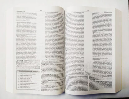 BIBLIA DE ESTUDIO MACARTHUR RV60 PASTA BLANDA - Image 5