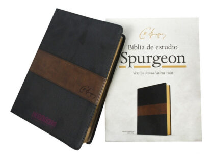 BIBLIA DE ESTUDIO ESPURGEON RV1960 - Image 8