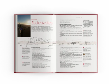 YOUCAT BIBLIA LATINOAMERICA PARA JOVENES - Image 3