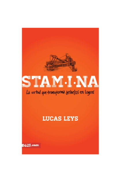 STAMINA TRANSFORMA ANHELO EN LOGRO