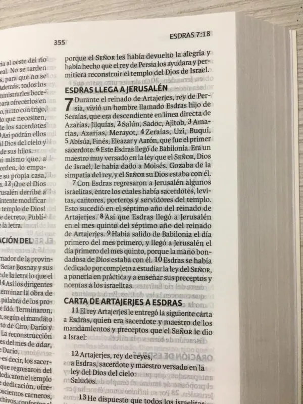 BIBLIA NVI RENACER FLORAL - Image 4