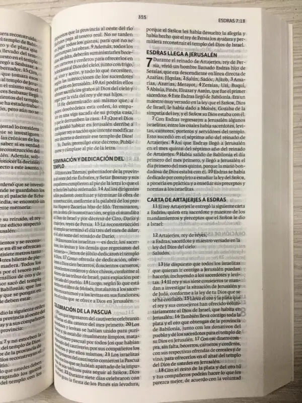 BIBLIA NVI RENACER FLORAL - Image 2