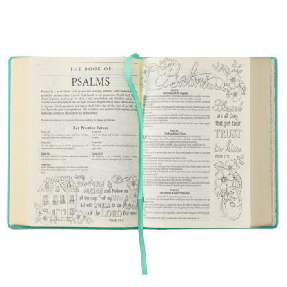 BIBLIA PARA ILUSTRAR- MY PROMISE - Image 5