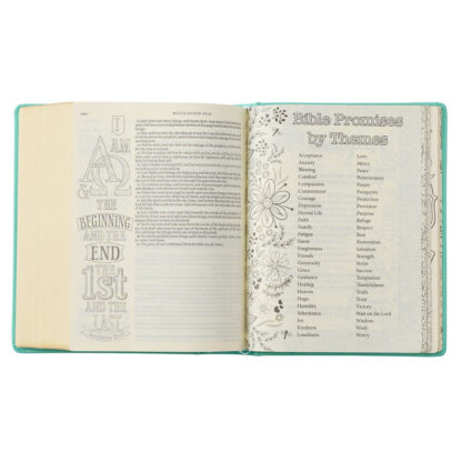 BIBLIA PARA ILUSTRAR- MY PROMISE - Image 9