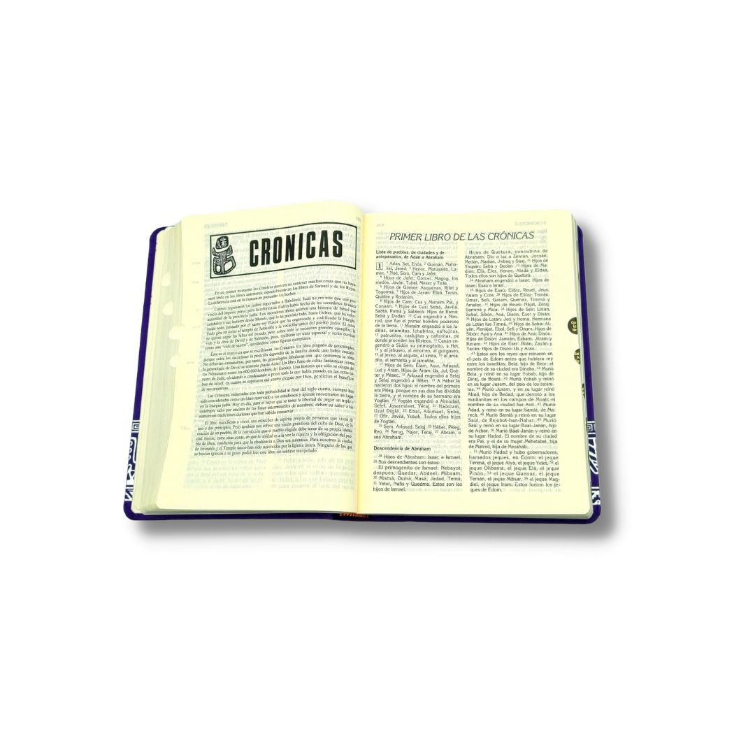 BIBLIA LATINOAMERICANA LETRA GRANDE - Image 2