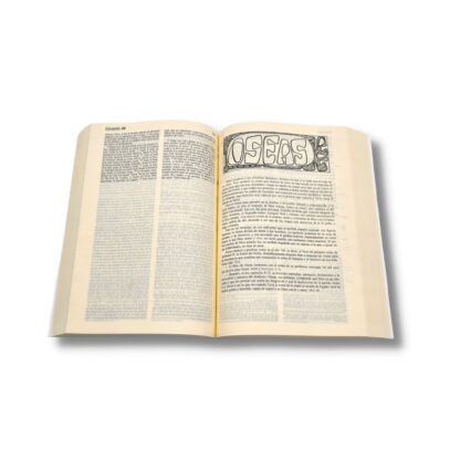 BIBLIA LATINOAMERICANA LETRA GRANDE - Image 2