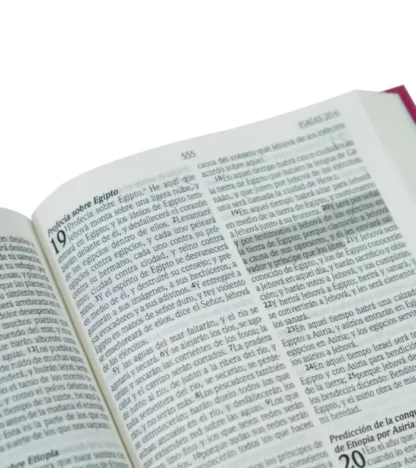 BIBLIA PROMESAS PARA JOVENES RV60 ROSA - Image 6
