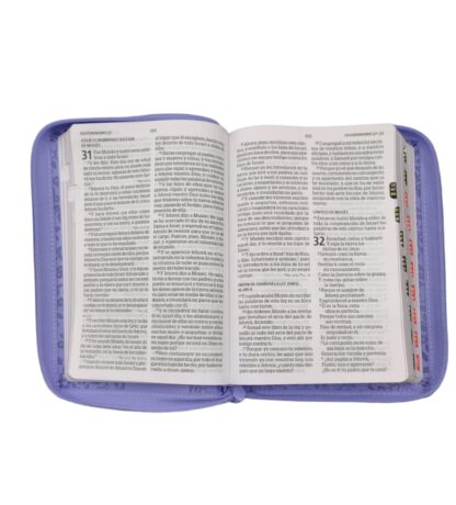 BIBLIA HOLMAN  LG MANUAL RV60 CIERRE - Image 7