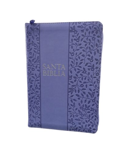 BIBLIA HOLMAN  LG MANUAL RV60 CIERRE