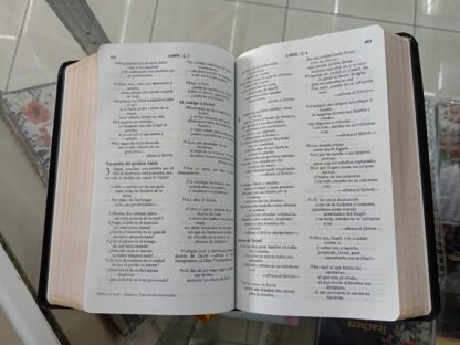 BIBLIA NVI NEGRO IMIT PIEL - Image 8