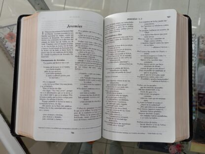 BIBLIA NVI NEGRO IMIT PIEL - Image 6
