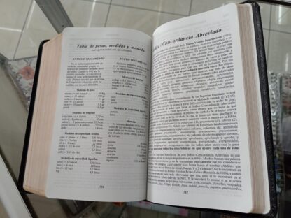 BIBLIA NVI NEGRO IMIT PIEL - Image 7