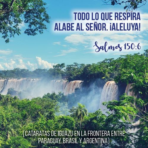 TARJETAS DE PROMESAS 150 SALMOS - Image 6