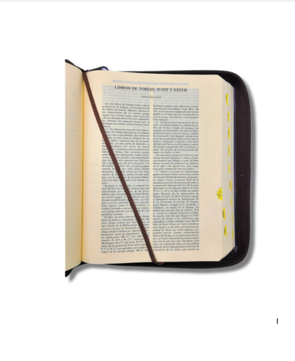 BIBLIA JERUSALEN DE BOLSILLO CAFE CON CIERRE - Image 2