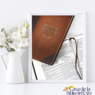 BIBLIAS
