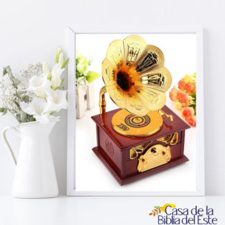 CAJAS DE MUSICA