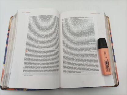 BIBLIA NVI CENTRADA EN CRISTO - Image 4