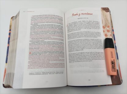 BIBLIA NVI CENTRADA EN CRISTO - Image 3