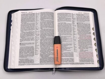 BIBLIA NTV LETRA GRANDE C/ ZIPER - Image 5