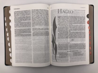 BIBLIA DE ESTUDIO EXPLICADA RV1960 - Image 6