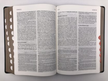 BIBLIA DE ESTUDIO EXPLICADA RV1960 - Image 5