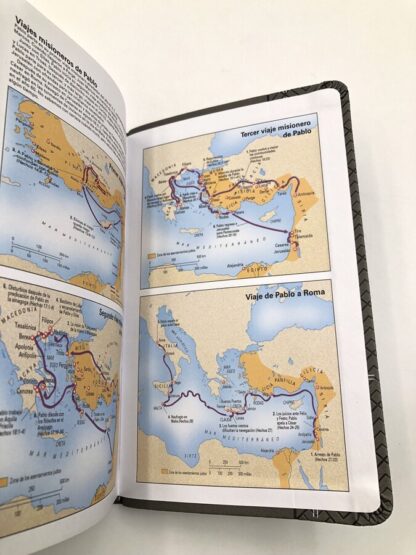 BIBLIA DE PROMESAS RV1960 LETRA GRANDE - Image 2