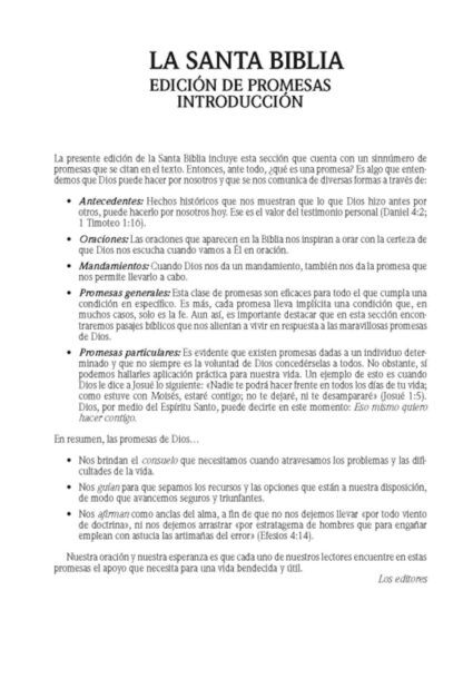 BIBLIA DE PROMESAS RV1960 LETRA GRANDE - Image 9