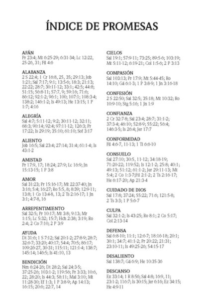 BIBLIA DE PROMESAS NVI PASTA DURA - Image 6