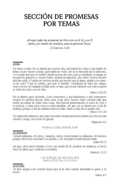 BIBLIA DE PROMESAS RV1960 LETRA GRANDE - Image 7