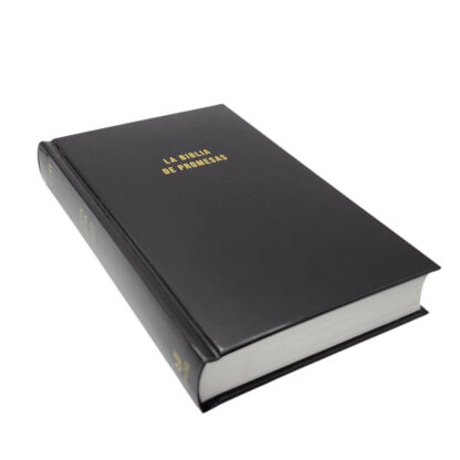 BIBLIA DE PROMESAS NVI PASTA DURA - Image 5