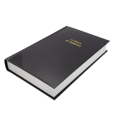 BIBLIA DE PROMESAS NVI PASTA DURA - Image 4
