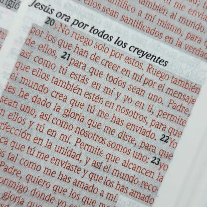 BIBLIA DE PROMESAS NVI PASTA DURA - Image 2