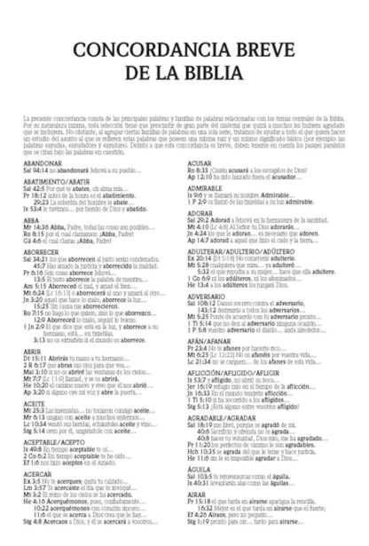 BIBLIA DE PROMESAS NVI PASTA DURA - Image 5