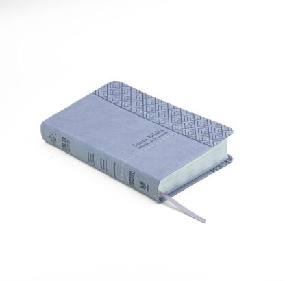 BIBLIA DE PROMESAS RV1960 LETRA GRANDE - Image 11