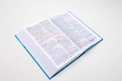 BIBLIA DE PROMESAS NVI PASTA DURA - Image 8